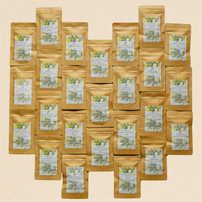 Probierpaket: Von jeder der 25 angebotenen Teesorten 20 Gramm